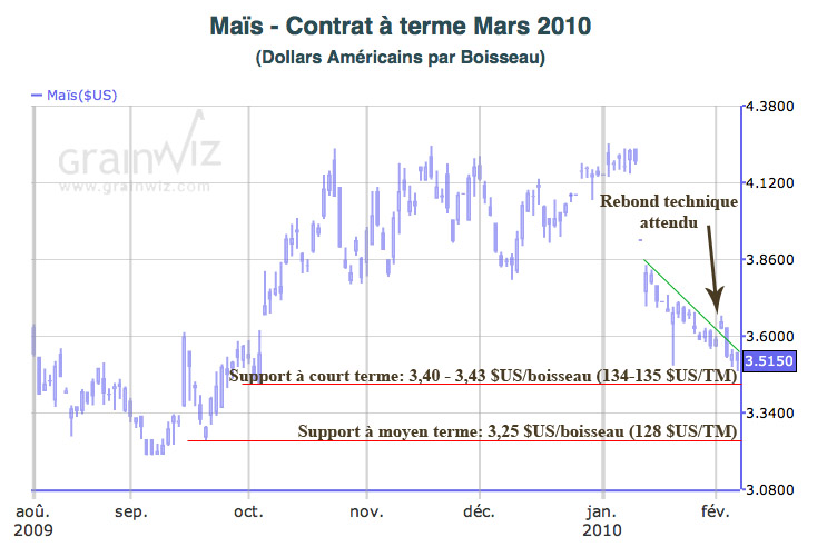Corn MT 5 fev 2010 Corn MT 5 fev 2010